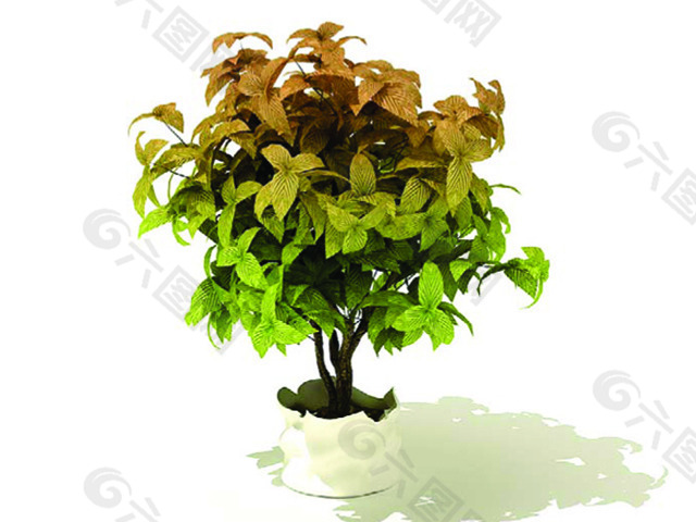室內(nèi)植物3d模型