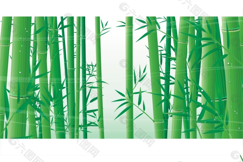 竹子矢量圖