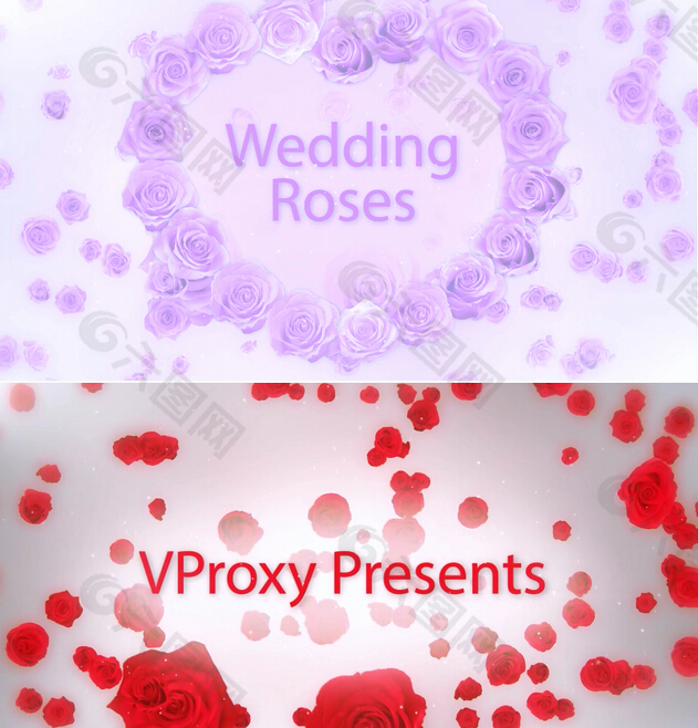 婚禮婚慶玫瑰花瓣愛心AE模板