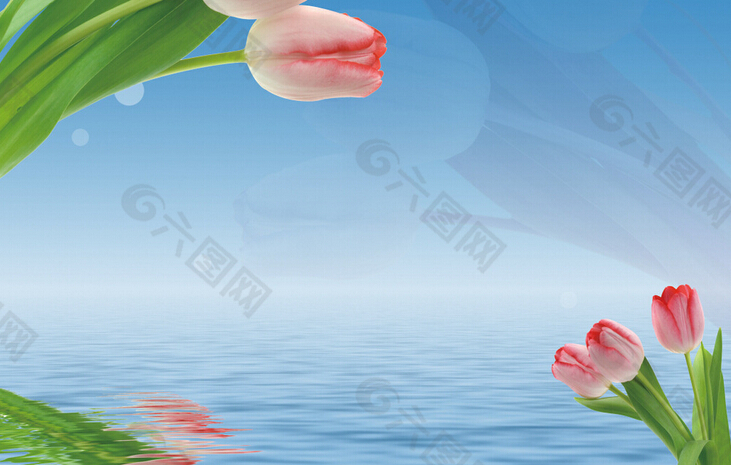 花朵移門圖案