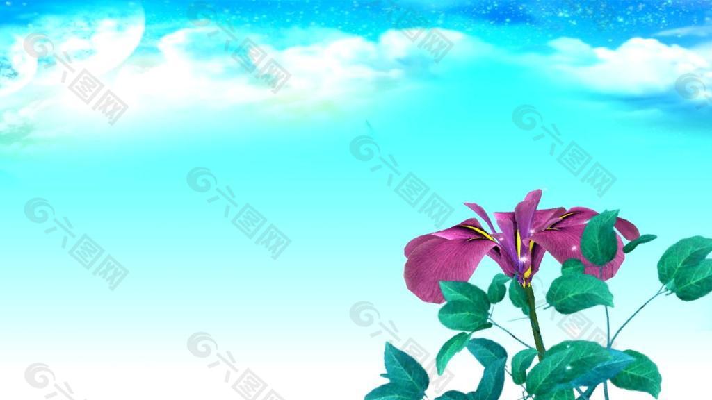 盛開的花背景2