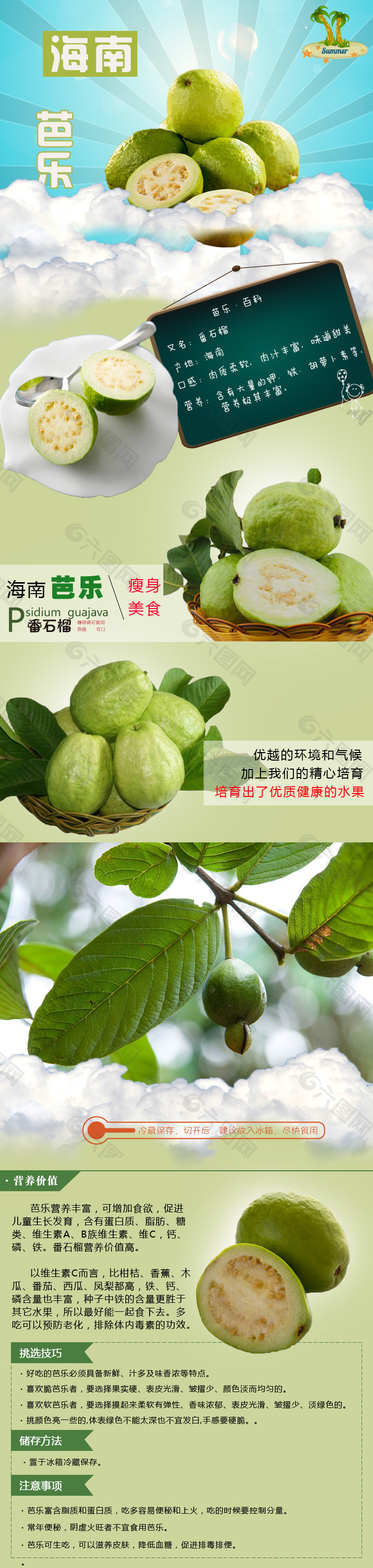 海南芭樂