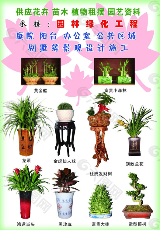 99花卉苗圃宣傳單