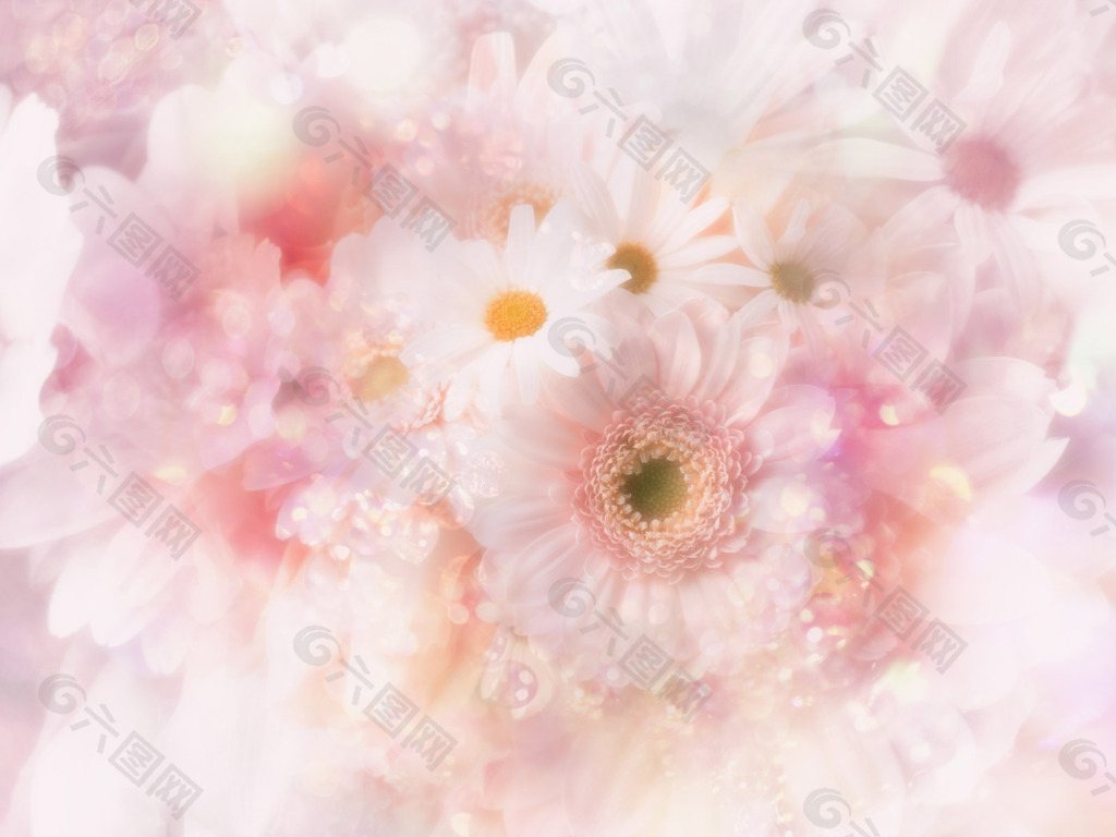 花朵背景