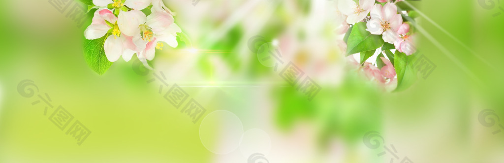 清新綠色唯美的背景