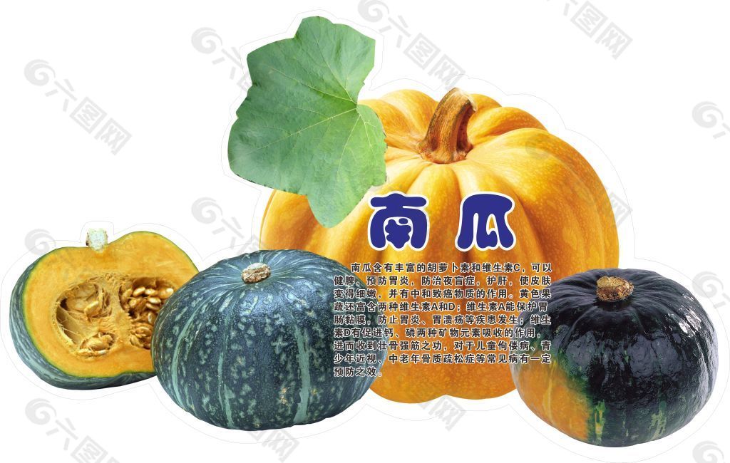 南瓜