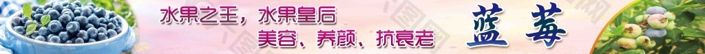 藍(lán)莓燈片