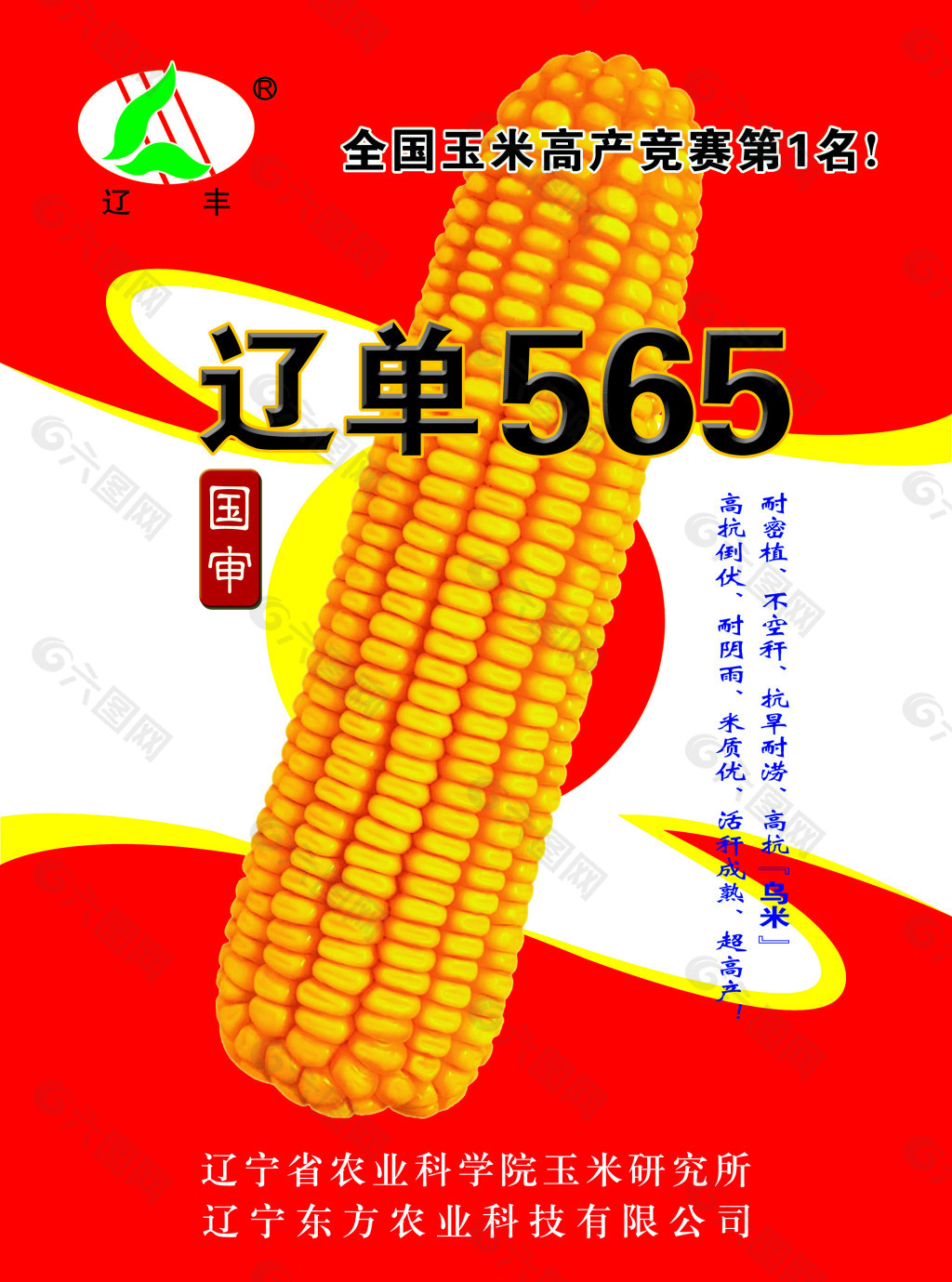 玉米單頁