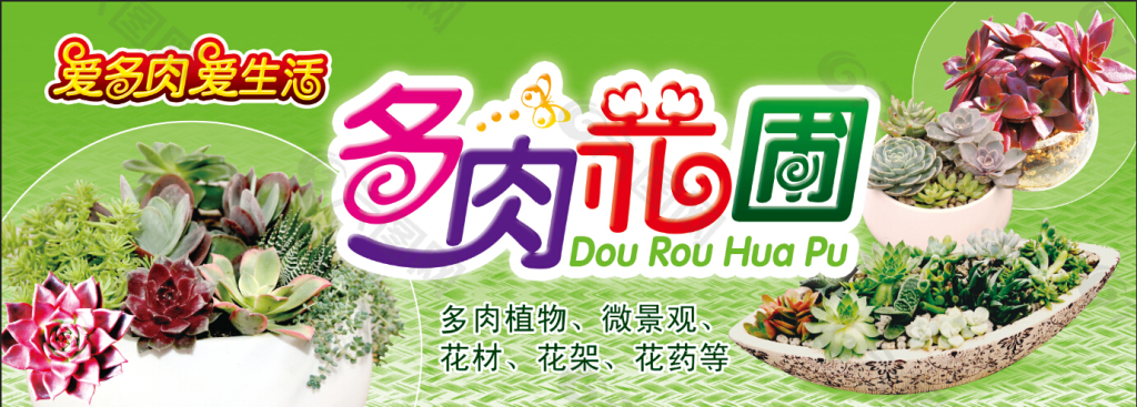 多肉花圃