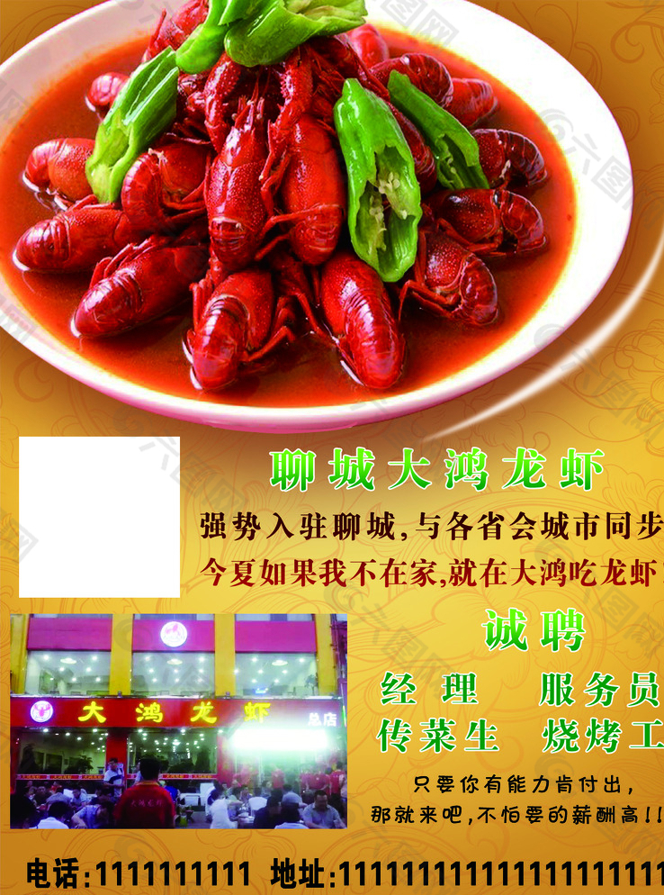 龍蝦圖片