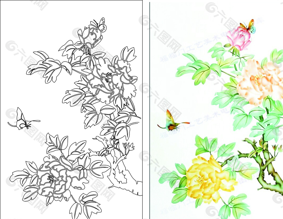 雙線 牡丹花圖片