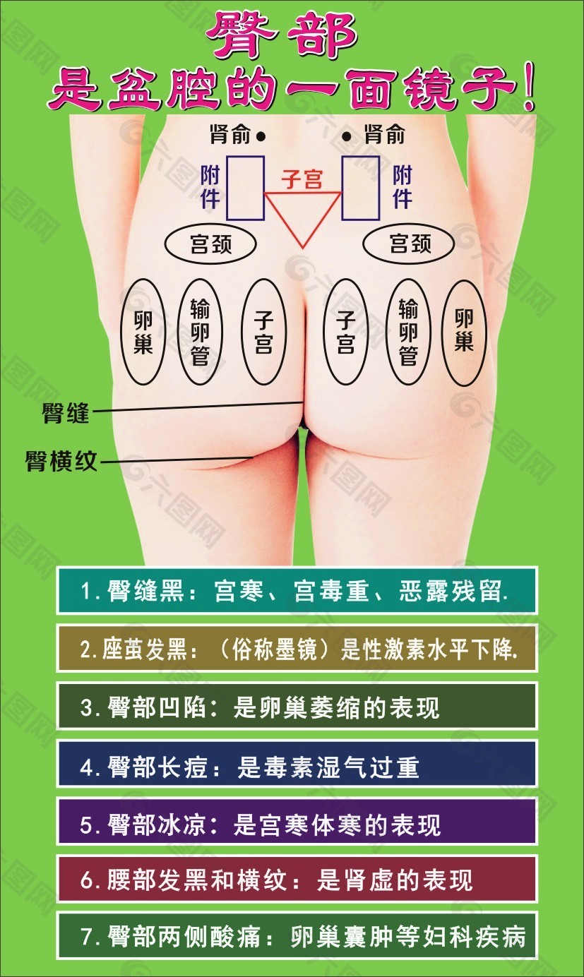 臀療