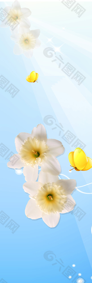 百合圖片