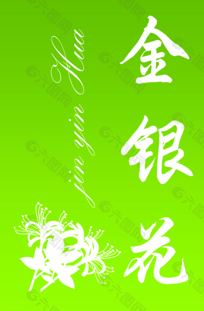 金銀花花茶包裝圖片