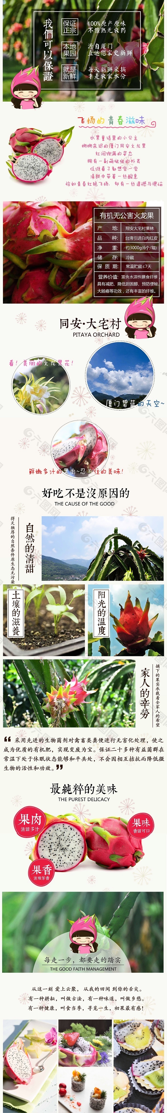 火龍果詳情頁