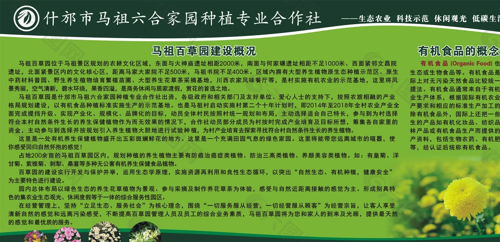 合作社宣傳海報(bào) 生態(tài)綠色展架圖片