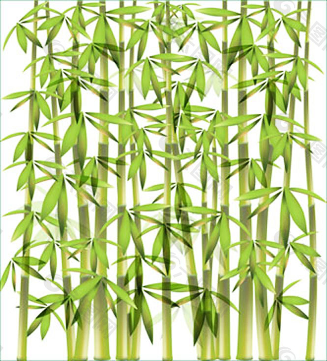 綠色竹子竹葉矢量圖