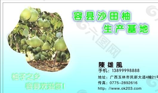 名片模板 蔬菜水果 平面設計_0987