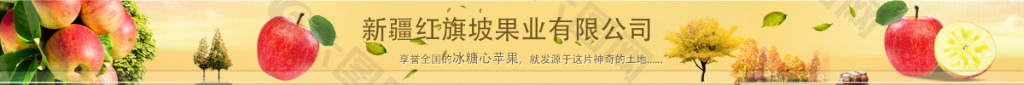 冰糖心蘋果