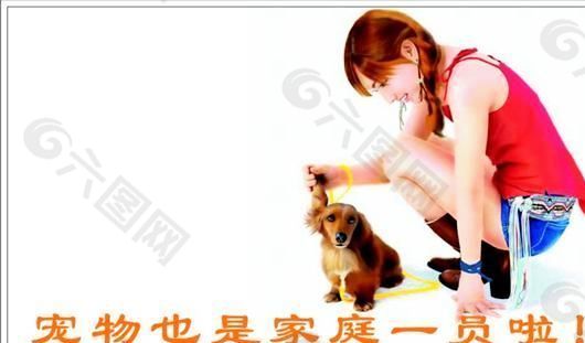 寵物類 名片模板 CDR_4512