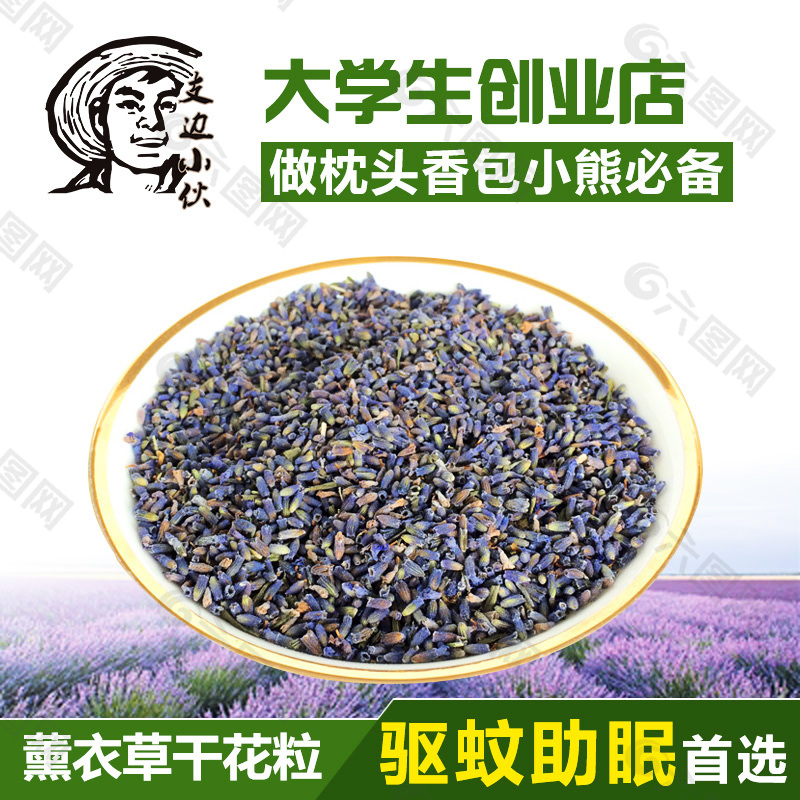 干花 薰衣草 主圖