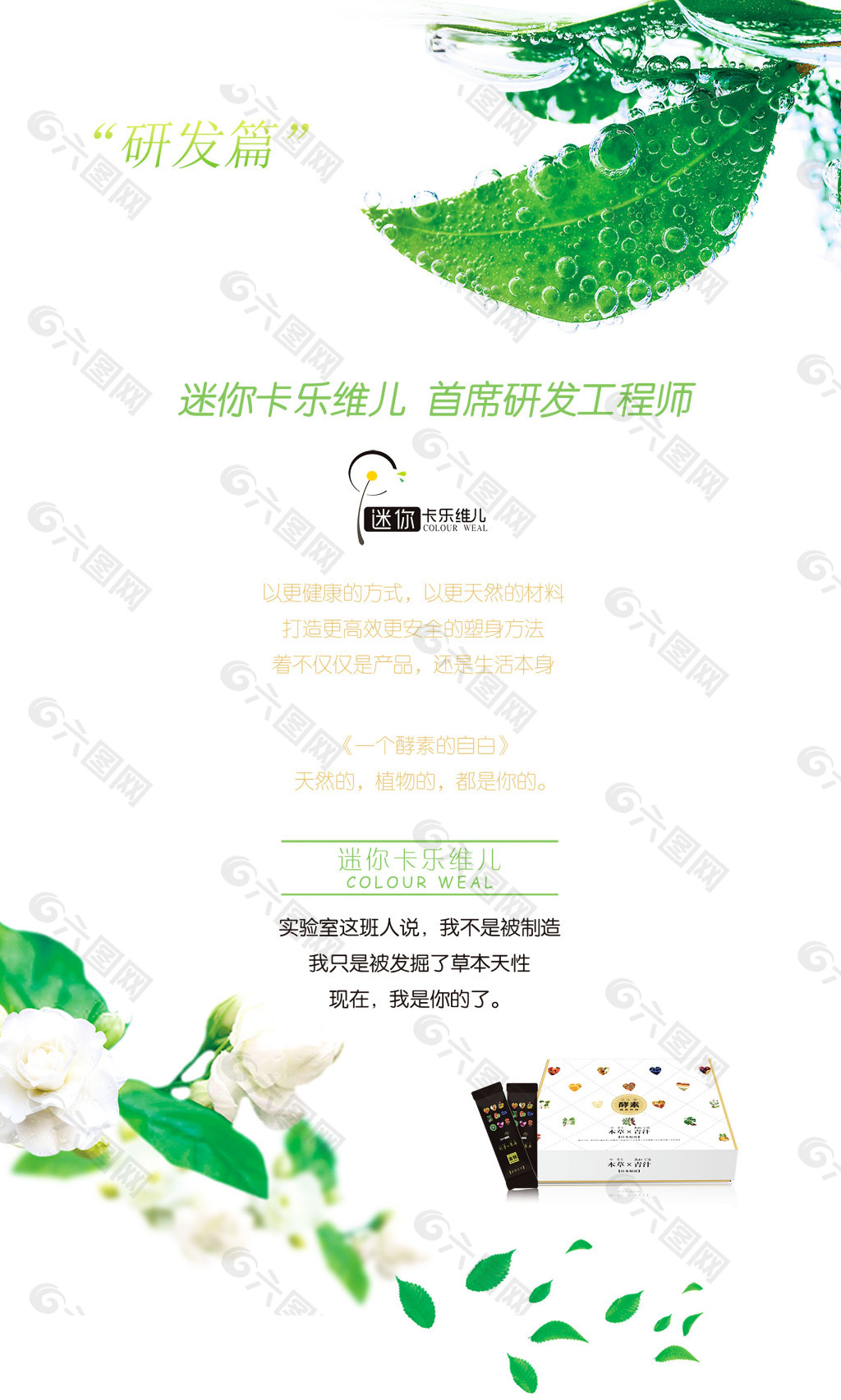 綠色清新海報(bào)