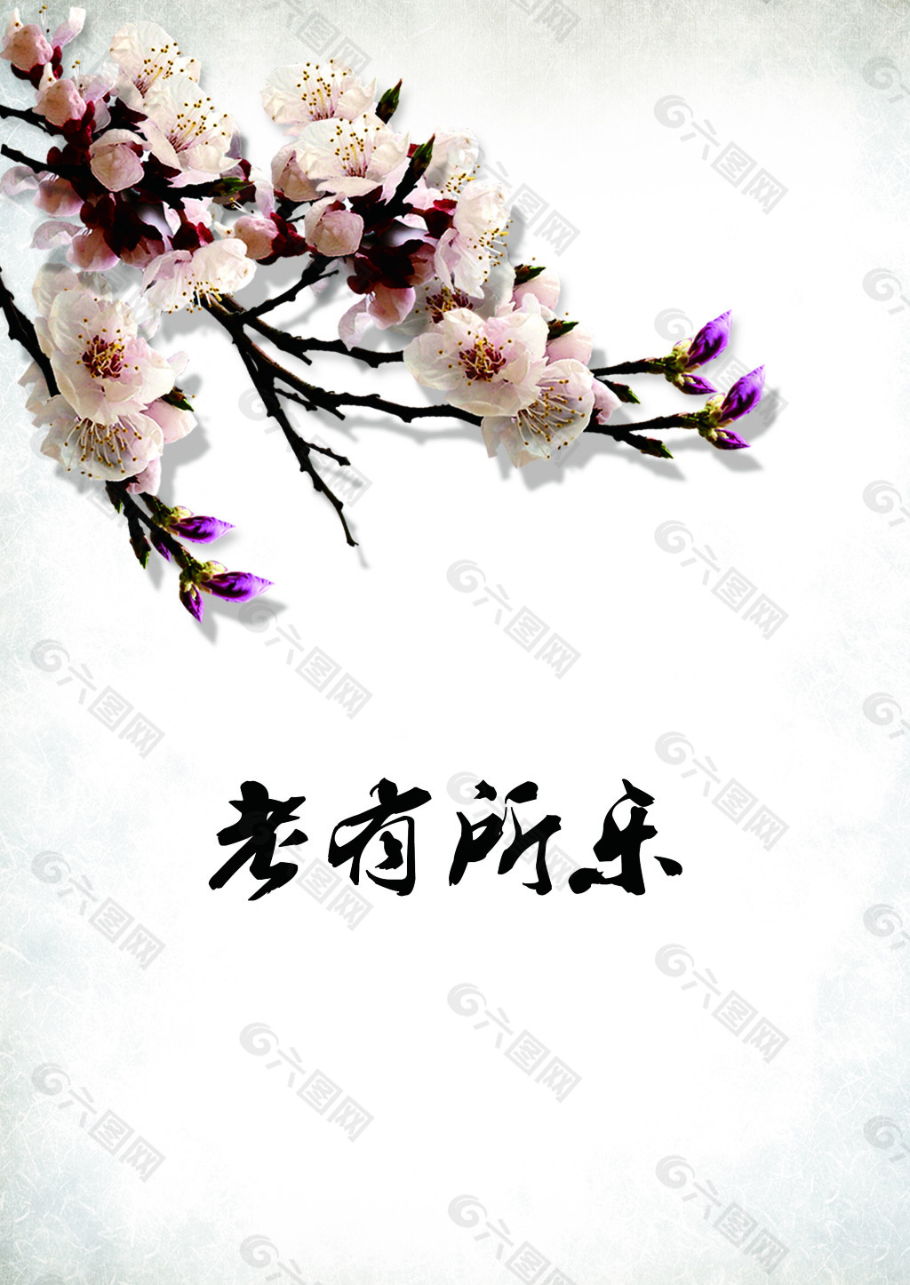 老有所樂
