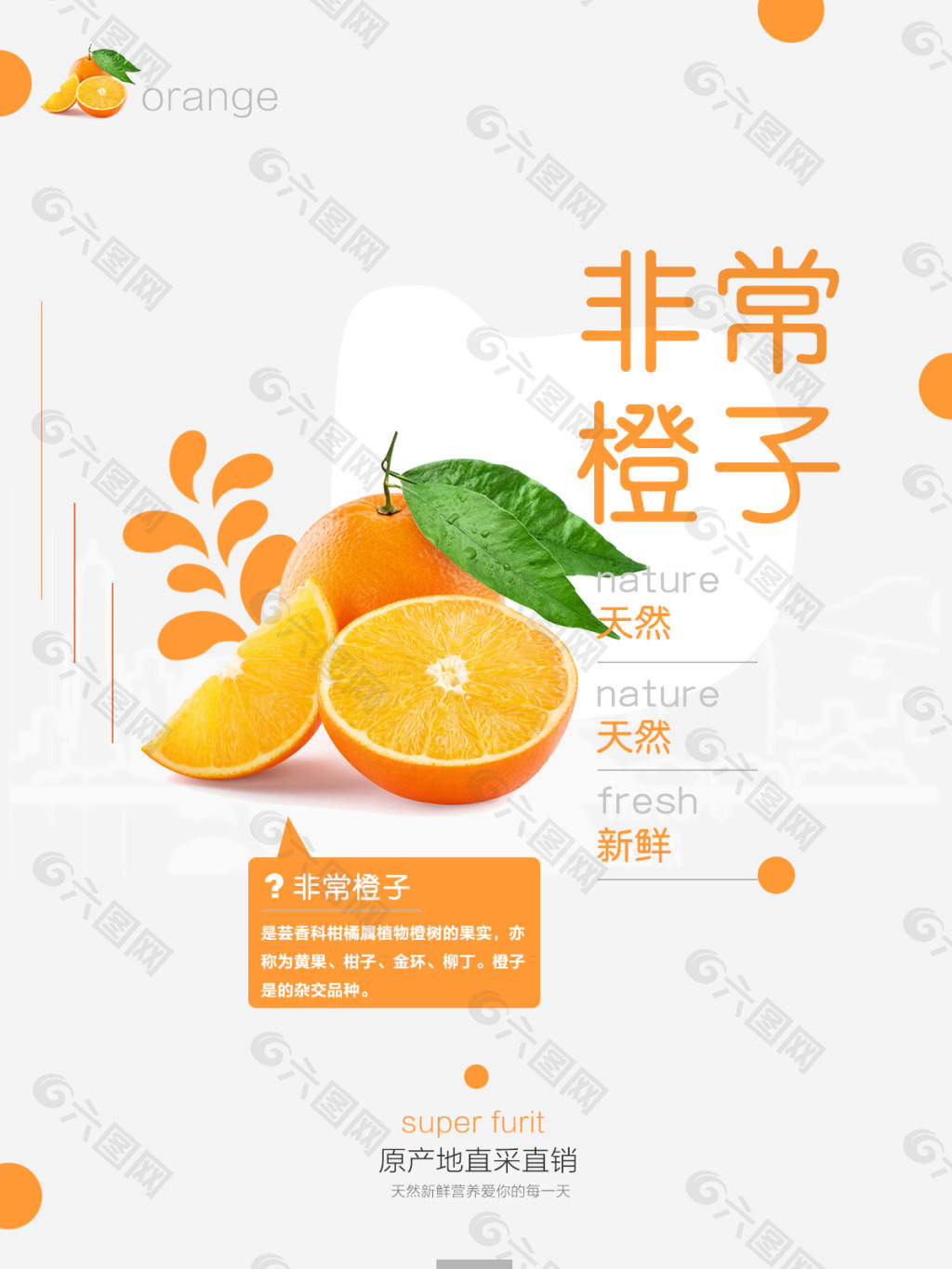 時尚水果海報