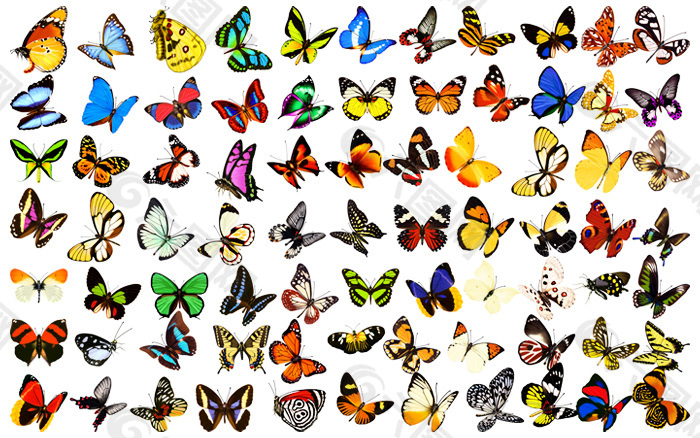 上传. 浏览本次作品的您可能还对蝴蝶图片,彩色,漂亮,精美感兴趣.