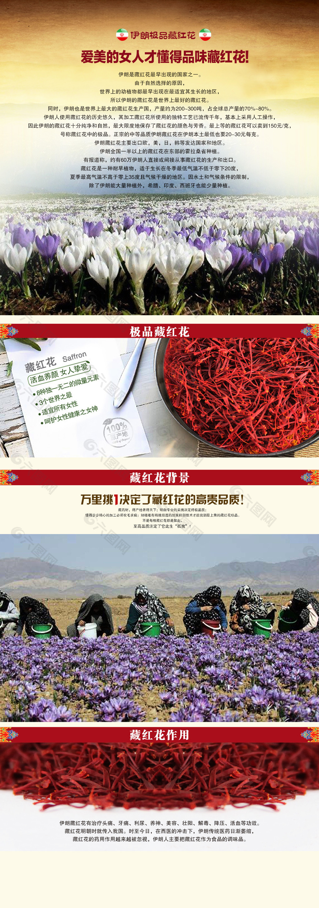 藏紅花網(wǎng)站首頁