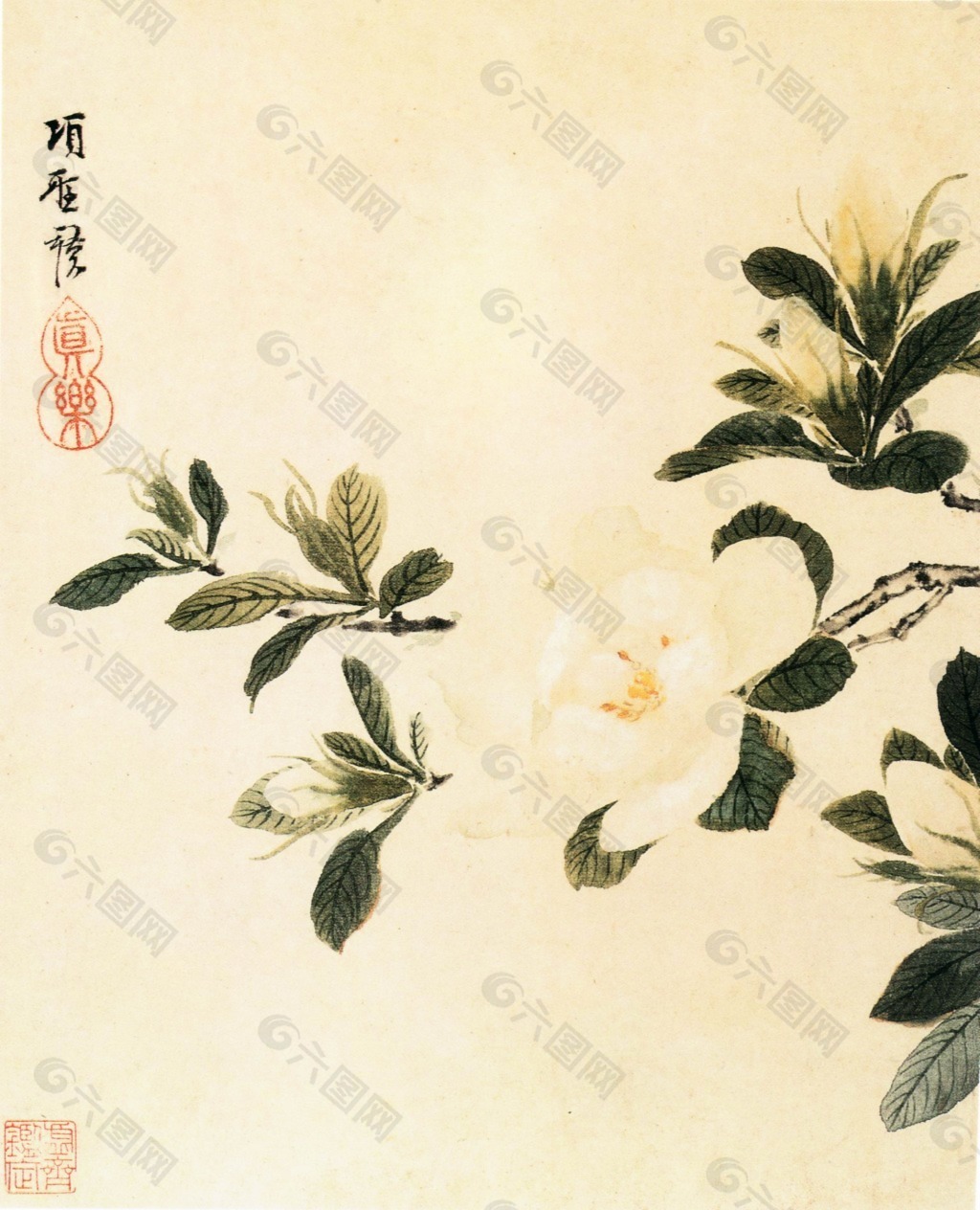 素雅花鳥國畫水墨畫