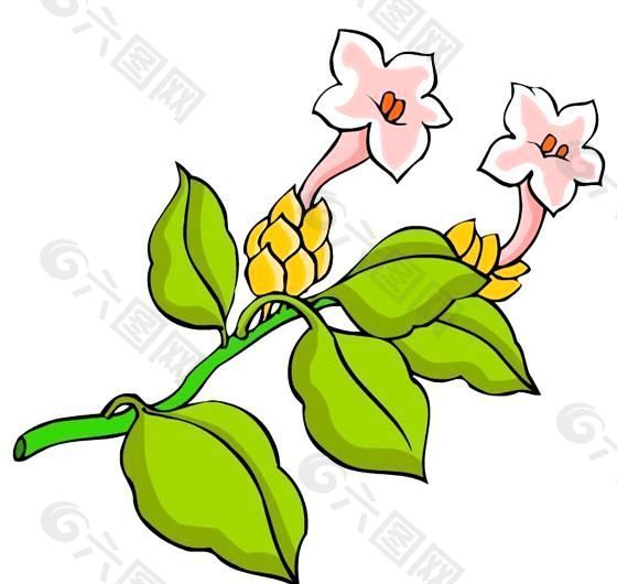 花卉古典插畫