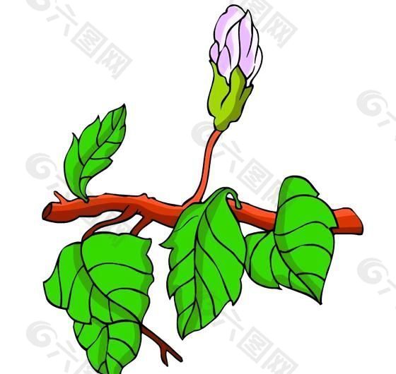 花卉古典插畫