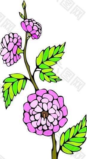 花朵 花草 鮮花 矢量 EPS格式_0007