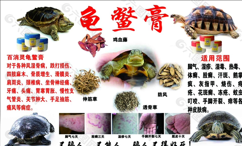 龜鱉膏圖片