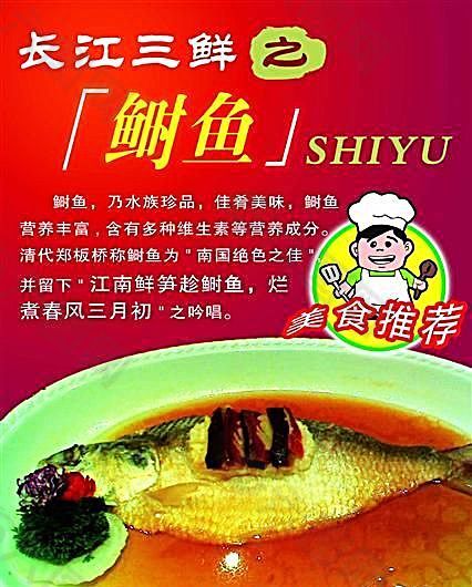 長(zhǎng)江三鮮 鰣魚 食品餐飲 平面模板 分層PSD_057