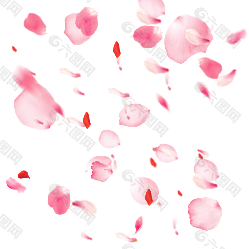 桃花花瓣節日鮮花飄落裝飾粉紅素材背景圖片