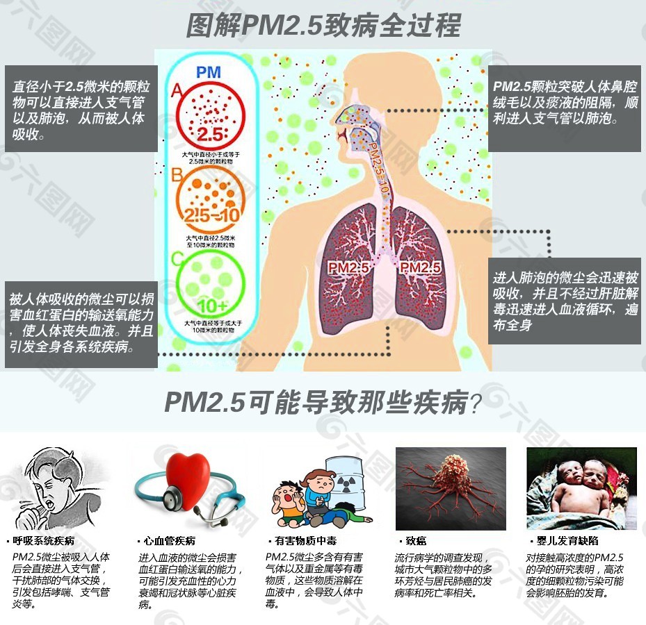 PM2.5图解