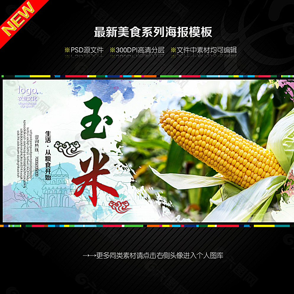 玉米圖片