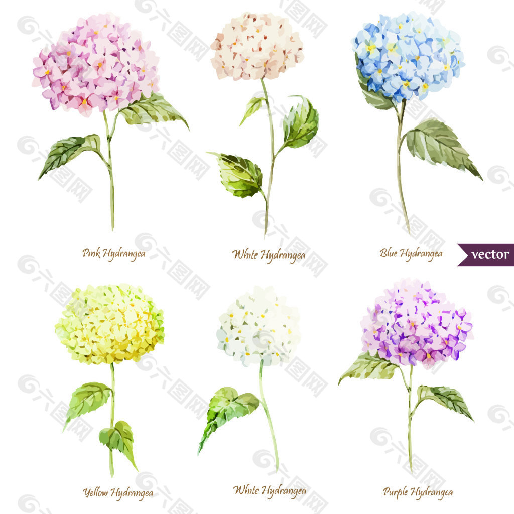 復古懷舊花朵