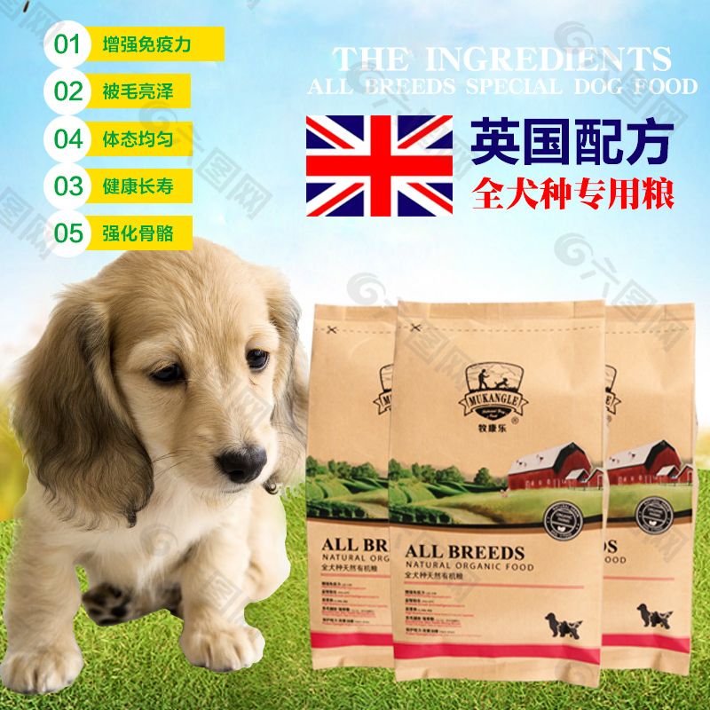 狗狗糧直通車首圖鉆展國際范爆款主圖寵物