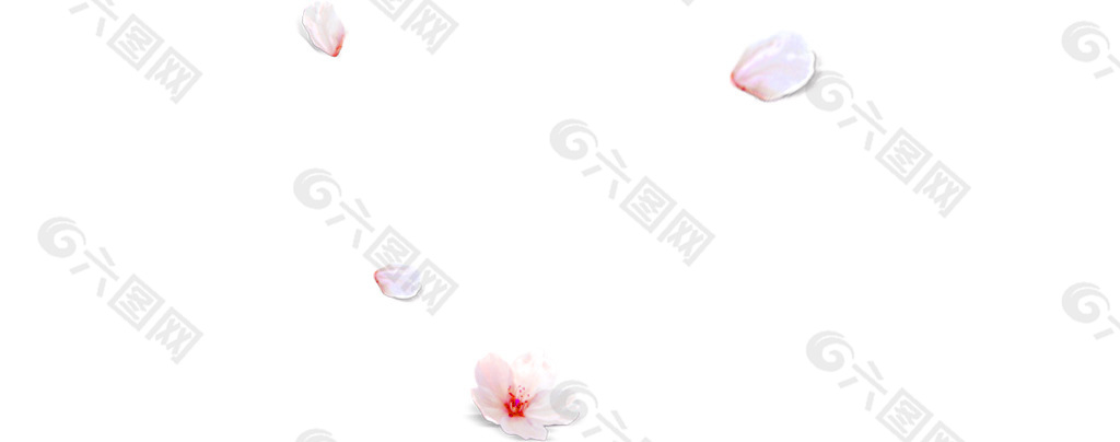 花瓣漂浮元素