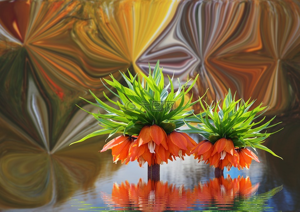 花,背景,水