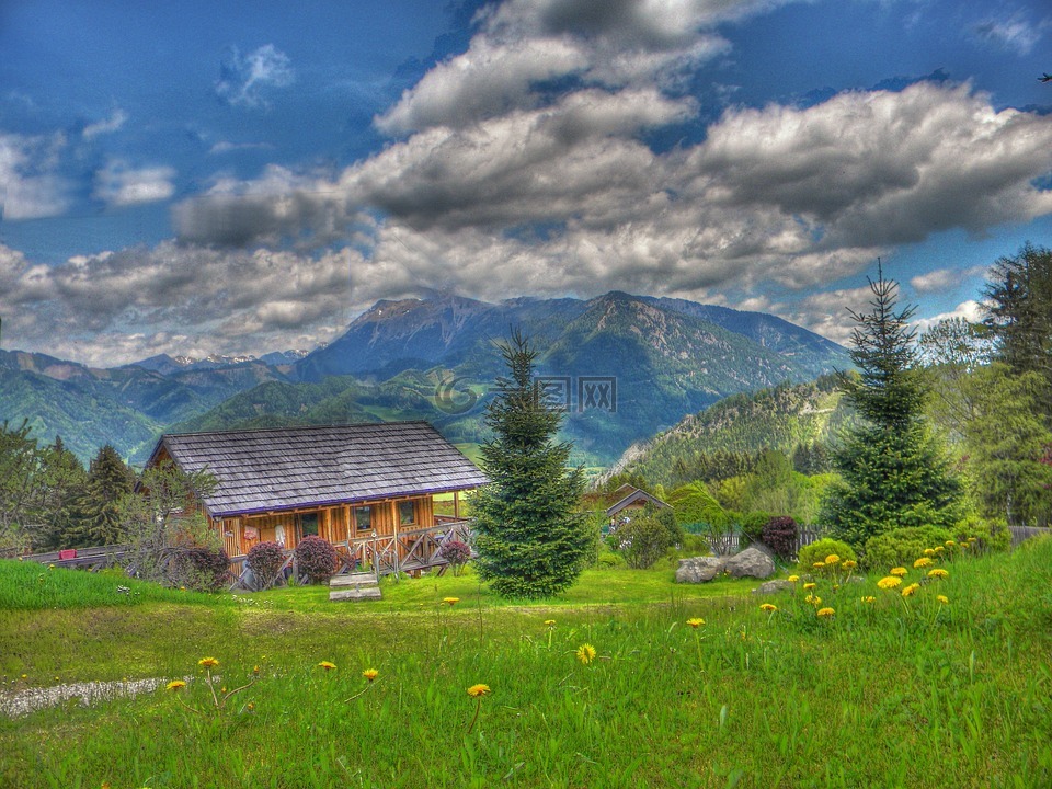 阿爾姆,hdr,草地