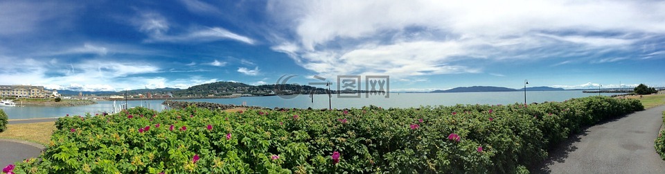 西北太平洋,貝靈漢,全景圖