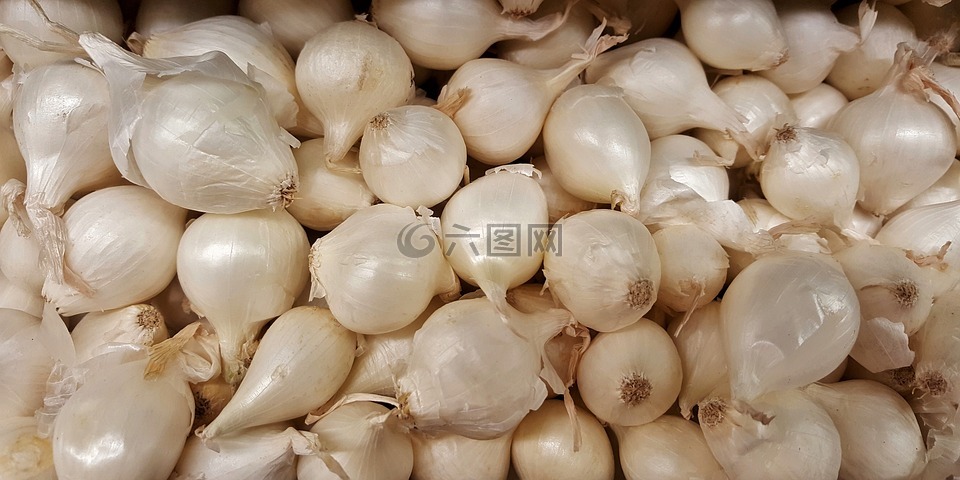 蔥,珍珠洋蔥,蔬菜