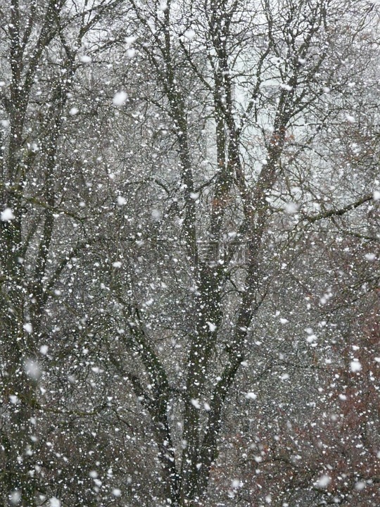 降雪,雪,雪花