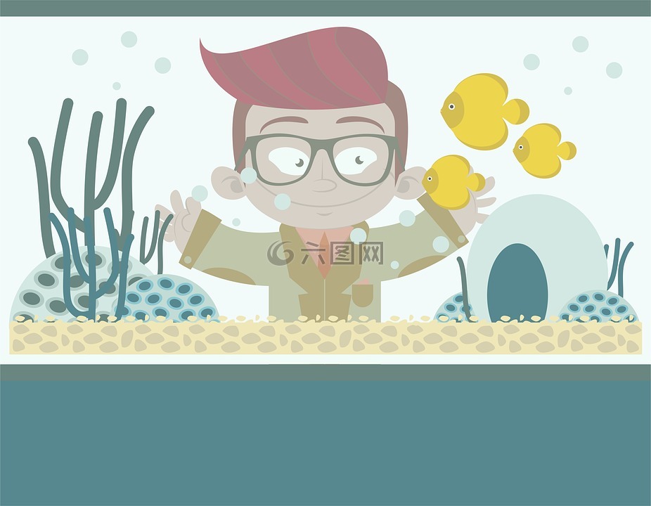 水族館,魚,閑暇