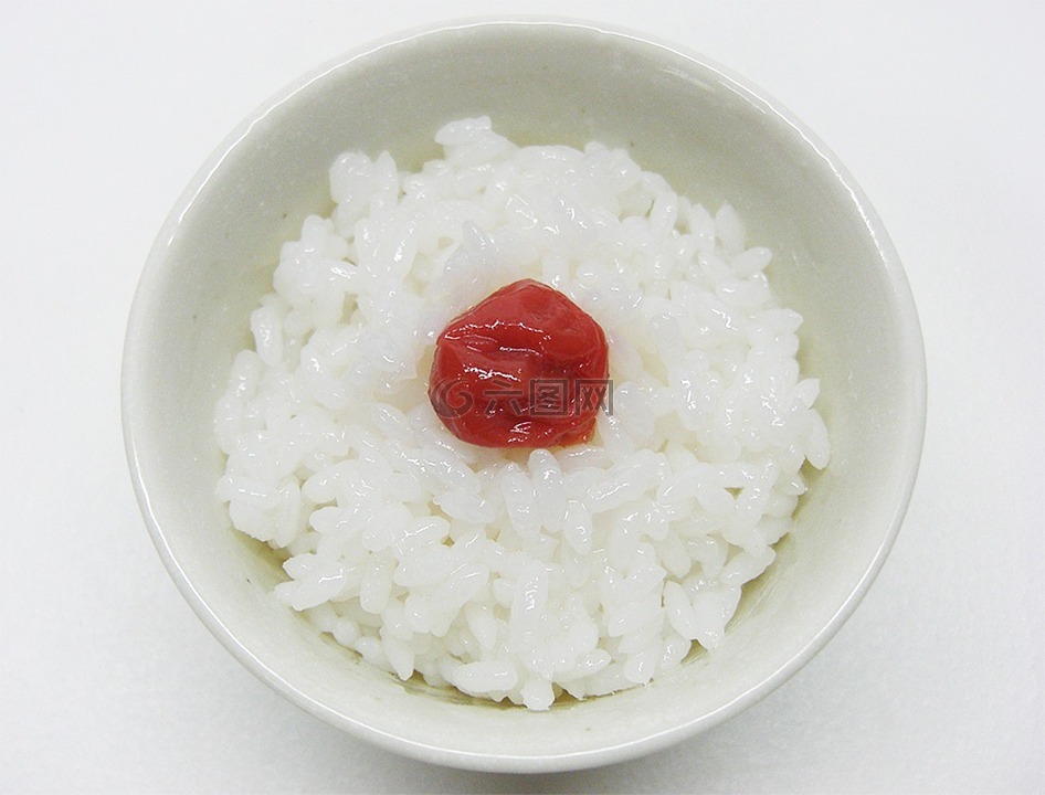 水稻,食品,腌漬