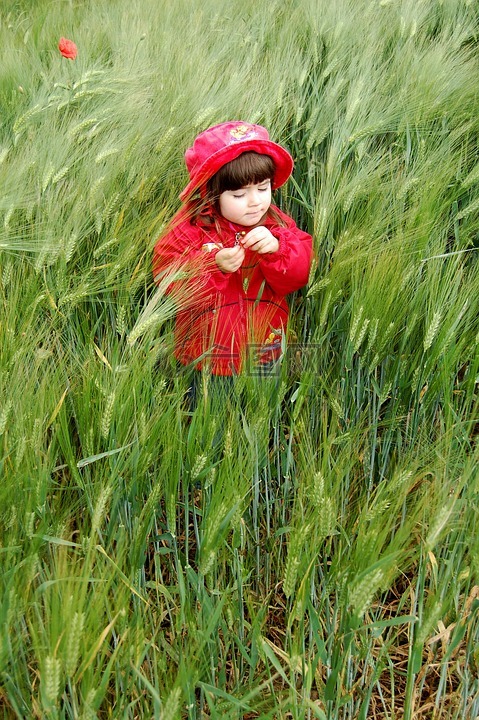 孩子,红色,草地